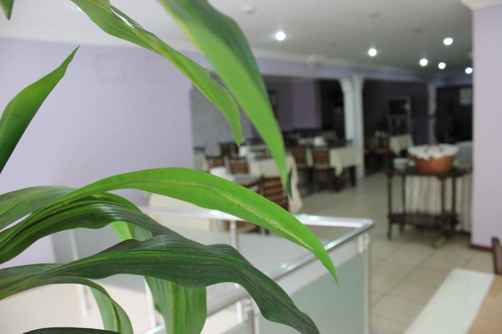 Nazar Hotel Trabzon Bagian luar foto